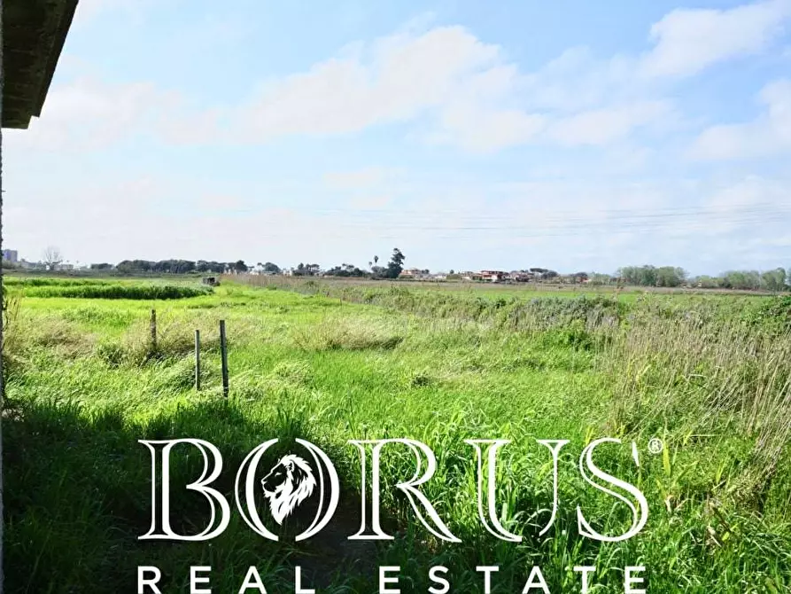 Immagine 6 di Terreno residenziale in vendita  in Via Porchiera a Villa Literno