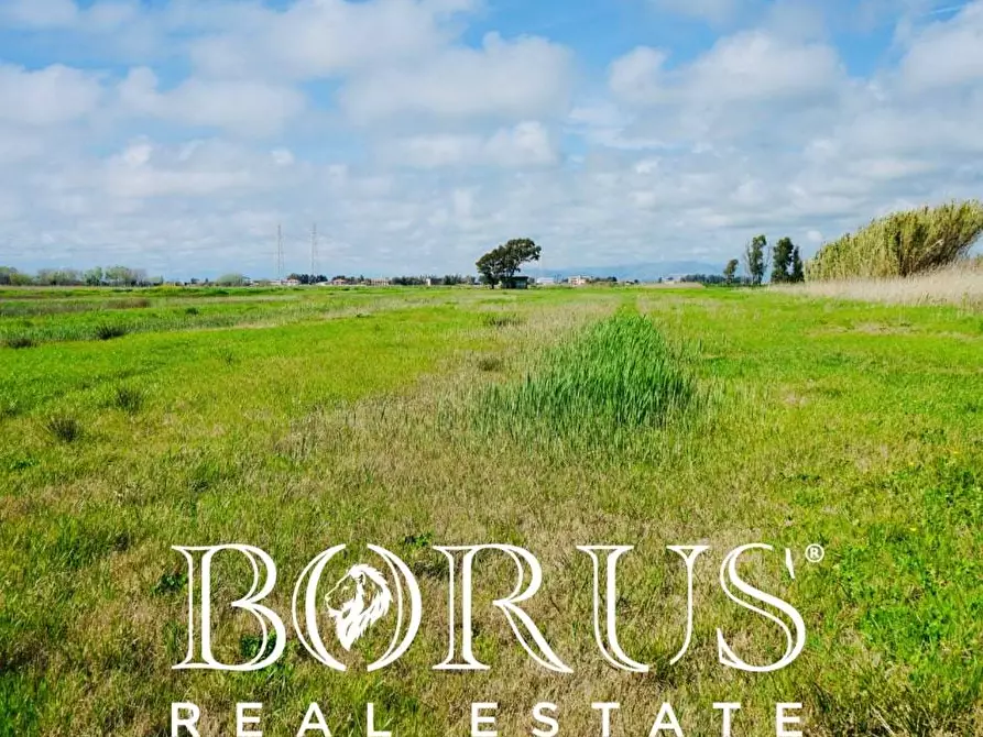 Immagine 9 di Terreno residenziale in vendita  in Via Porchiera a Villa Literno