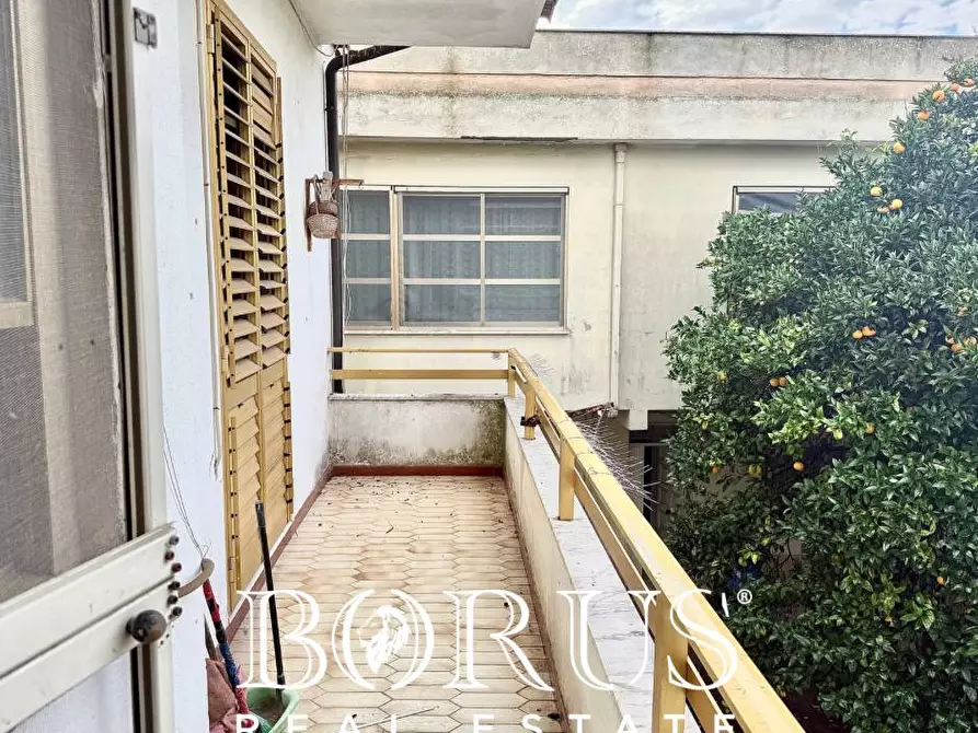 Immagine 41 di Casa indipendente in vendita  a Villa Literno