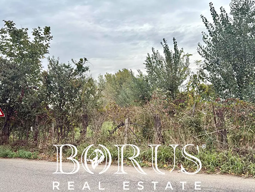 Immagine 2 di Terreno residenziale in vendita  in Via Largo Starza a San Marcellino