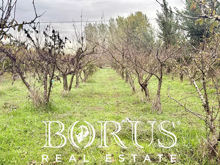 Immagine 1 di Terreno residenziale in vendita  in Via Largo Starza a San Marcellino