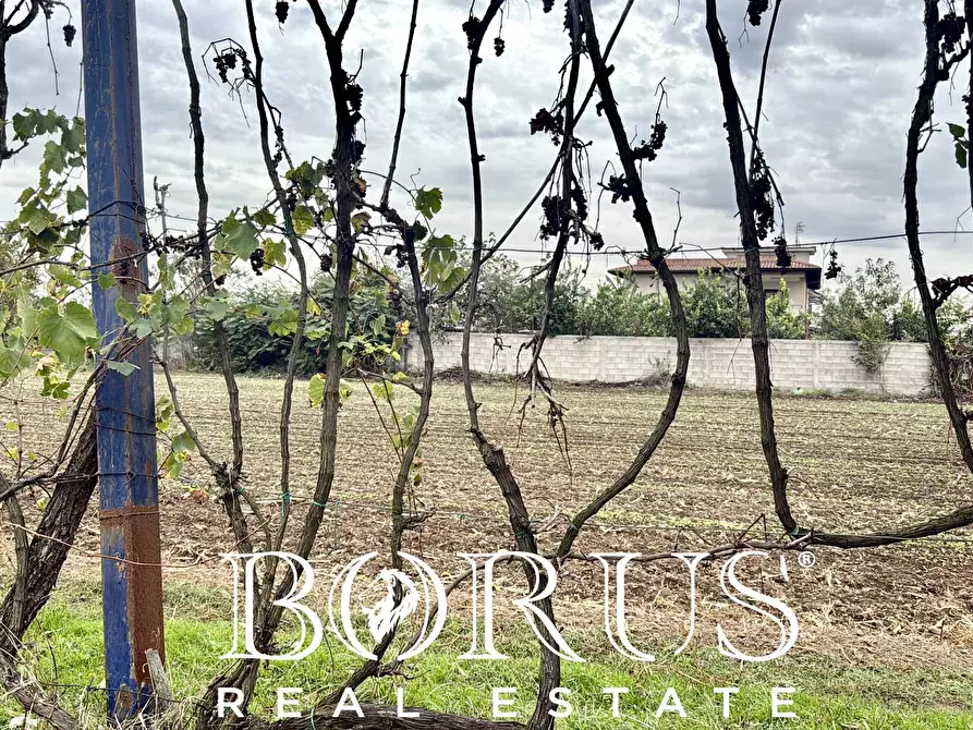 Immagine 3 di Terreno residenziale in vendita  in Via Largo Starza a San Marcellino