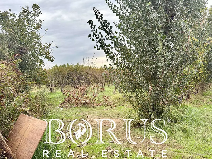 Immagine 4 di Terreno residenziale in vendita  in Via Largo Starza a San Marcellino