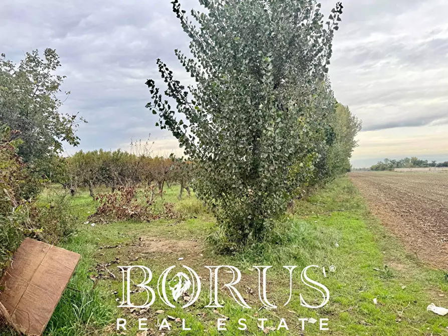 Immagine 5 di Terreno residenziale in vendita  in Via Largo Starza a San Marcellino