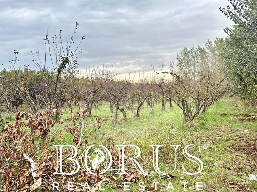 Immagine 6 di Terreno residenziale in vendita  in Via Largo Starza a San Marcellino