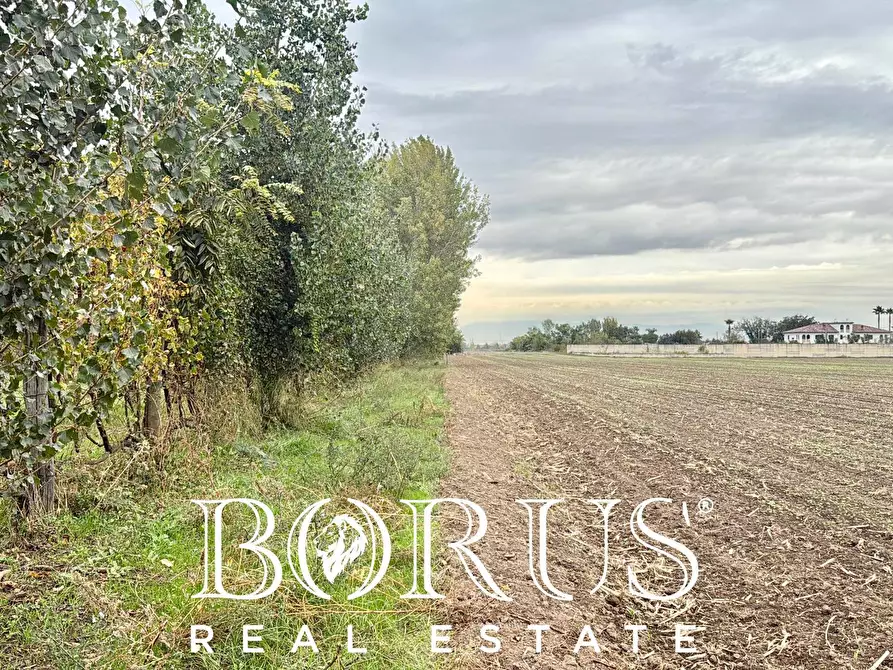 Immagine 8 di Terreno residenziale in vendita  in Via Largo Starza a San Marcellino