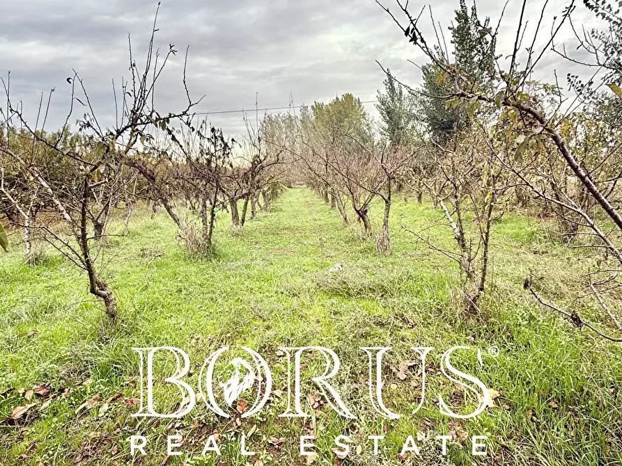 Immagine 9 di Terreno residenziale in vendita  in Via Largo Starza a San Marcellino