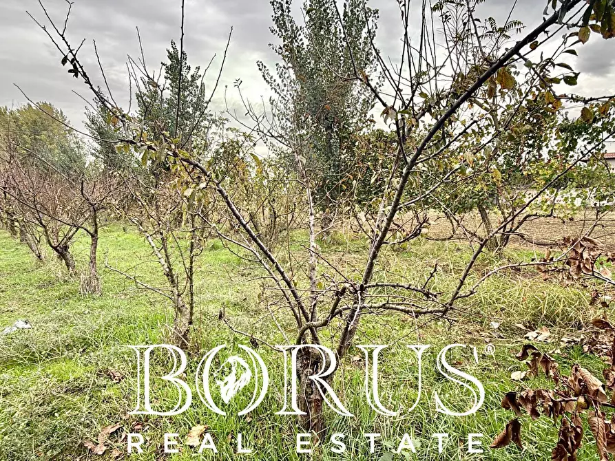 Immagine 10 di Terreno residenziale in vendita  in Via Largo Starza a San Marcellino