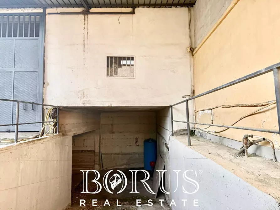 Immagine 27 di Palazzo in vendita  in VIA DE GASPERI I TRAVERSA a Casapesenna