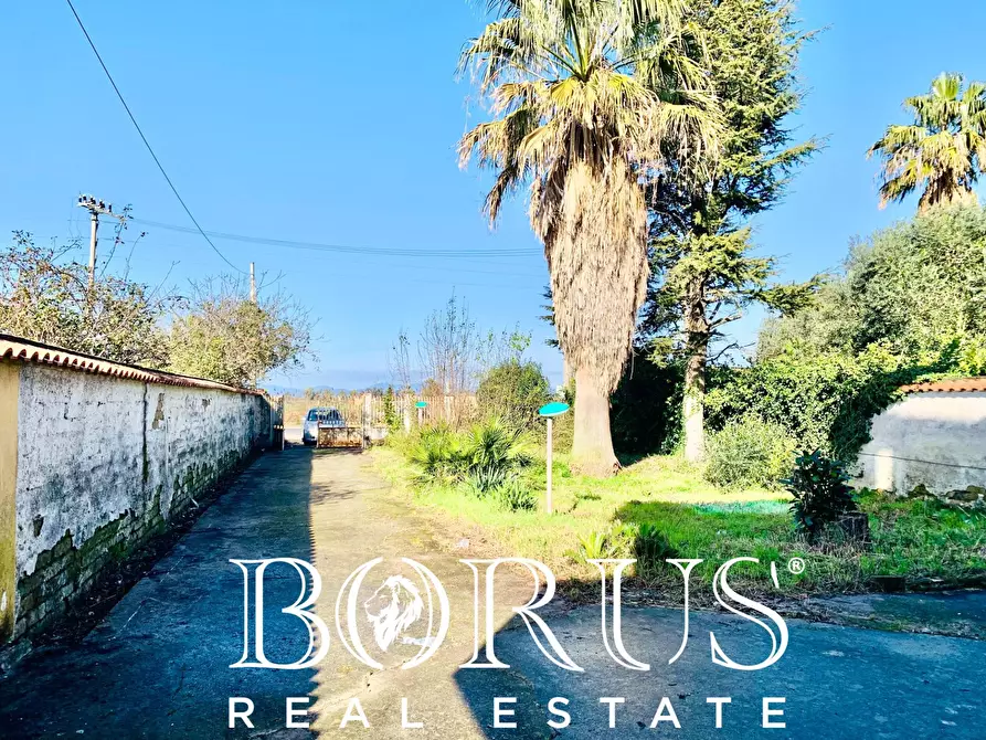 Immagine 39 di Casa indipendente in vendita  in VIA DELLE DUNE a Villa Literno