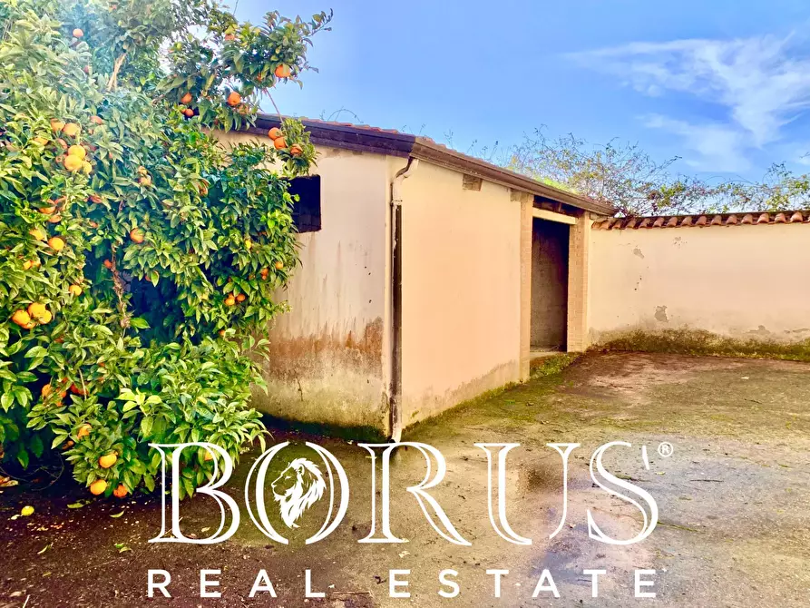 Immagine 37 di Casa indipendente in vendita  in VIA DELLE DUNE a Villa Literno