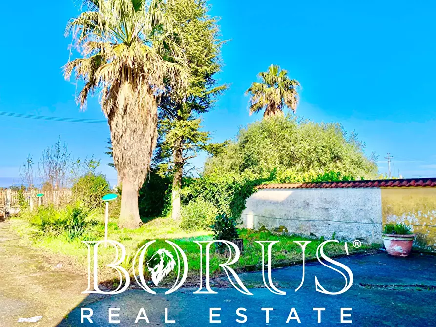 Immagine 41 di Casa indipendente in vendita  in VIA DELLE DUNE a Villa Literno