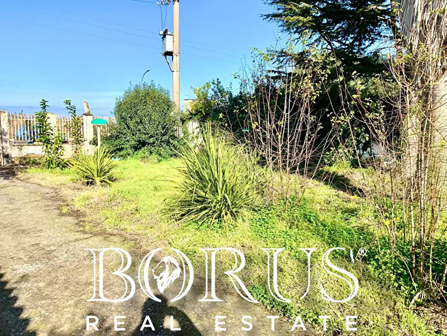 Immagine 40 di Casa indipendente in vendita  in VIA DELLE DUNE a Villa Literno