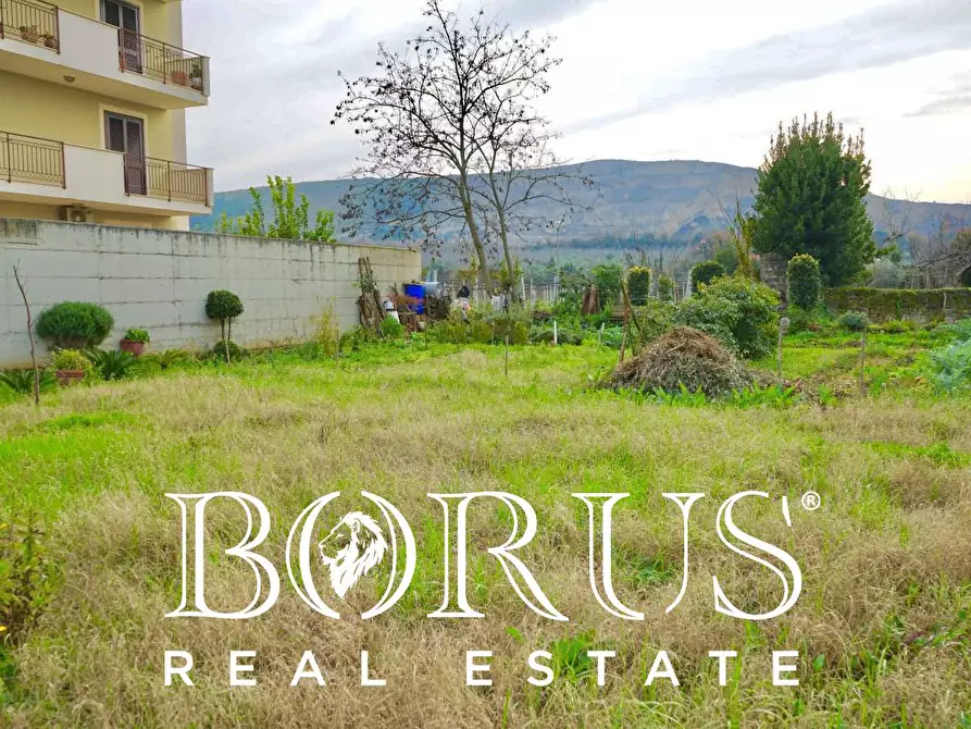 Immagine 3 di Terreno residenziale in vendita  a Camigliano