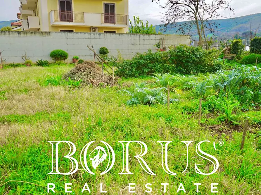 Immagine 10 di Terreno residenziale in vendita  a Camigliano