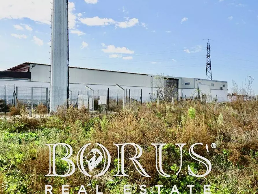 Immagine 5 di Terreno residenziale in vendita  a Villa Literno