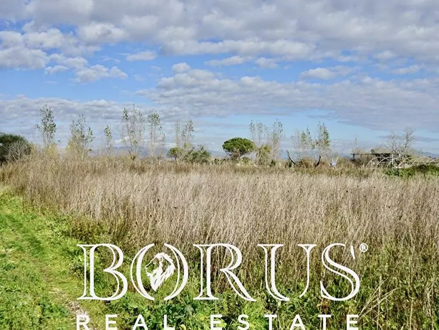 Immagine 3 di Terreno residenziale in vendita  a Villa Literno