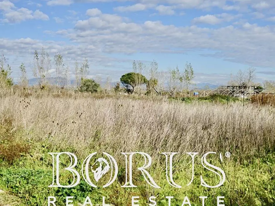 Immagine 4 di Terreno residenziale in vendita  a Villa Literno