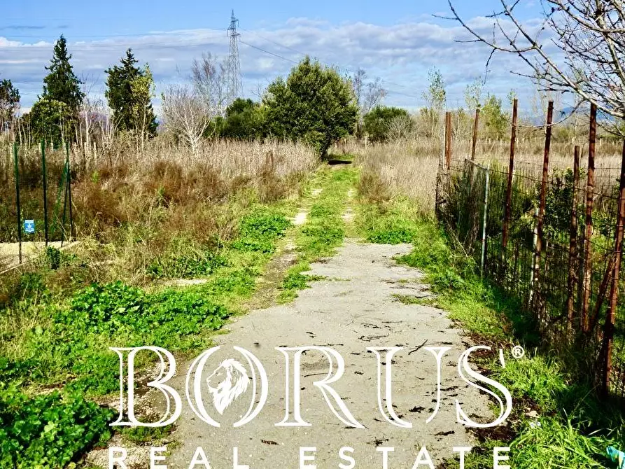 Immagine 6 di Terreno residenziale in vendita  a Villa Literno