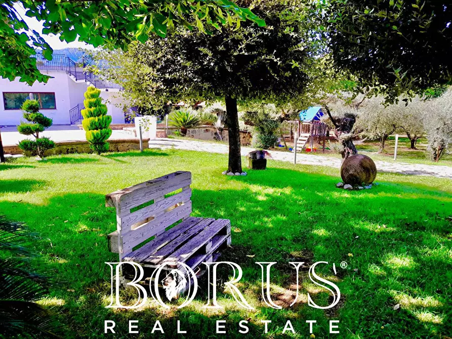 Immagine 2 di Azienda agricola in vendita  a Conca Della Campania