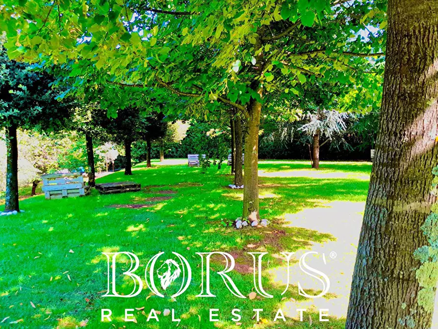 Immagine 3 di Azienda agricola in vendita  a Conca Della Campania