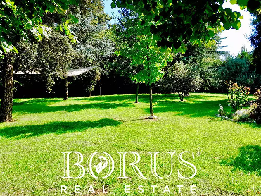 Immagine 4 di Azienda agricola in vendita  a Conca Della Campania