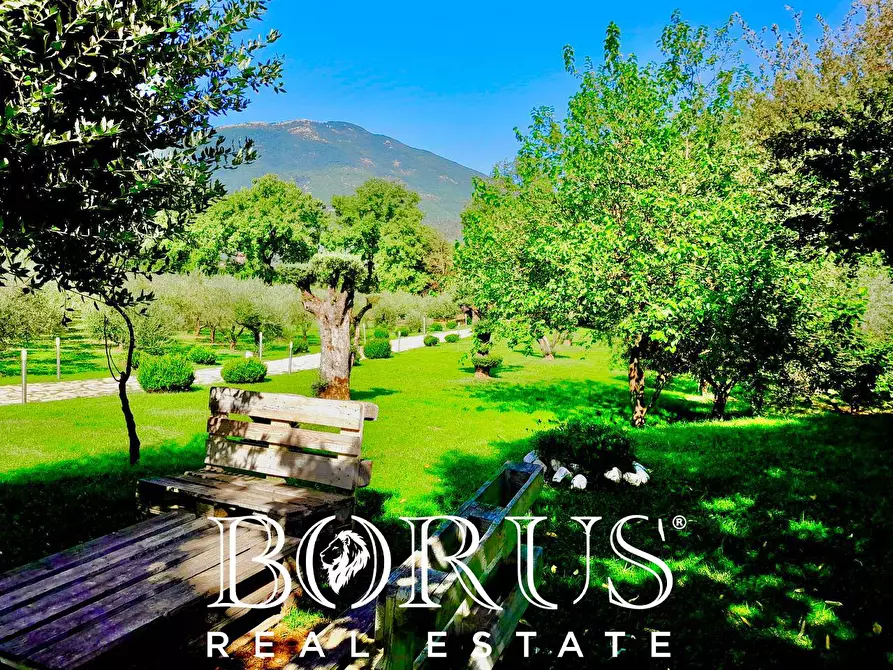 Immagine 5 di Azienda agricola in vendita  a Conca Della Campania