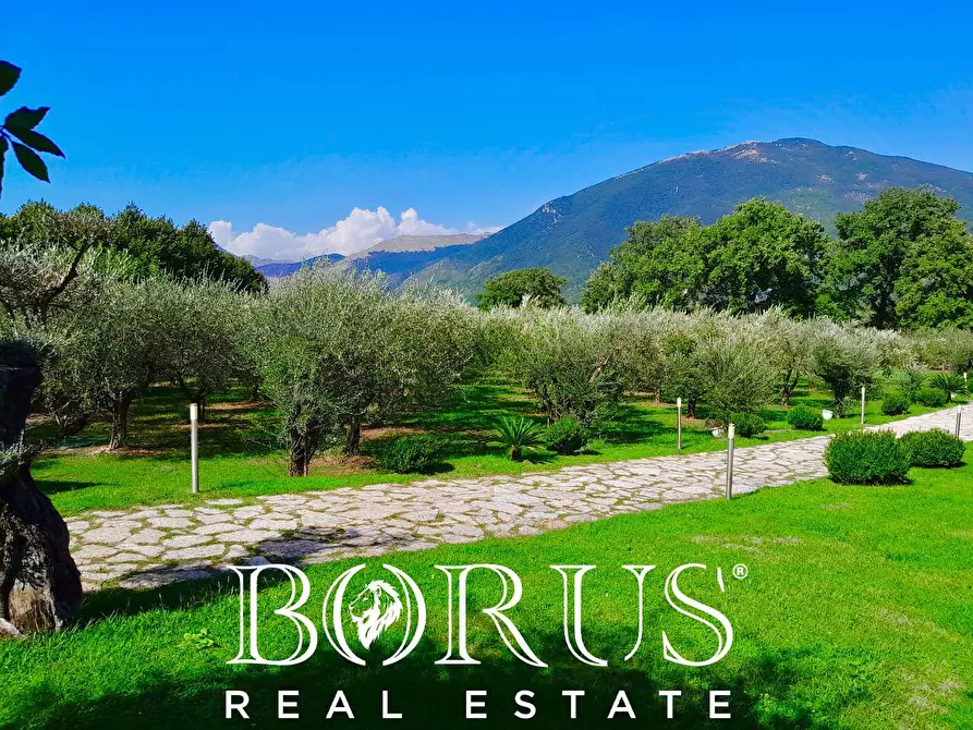 Immagine 6 di Azienda agricola in vendita  a Conca Della Campania