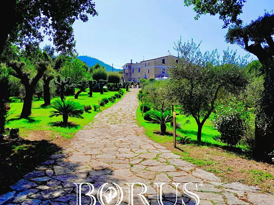 Immagine 7 di Azienda agricola in vendita  a Conca Della Campania