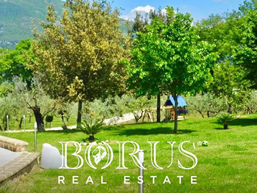 Immagine 8 di Azienda agricola in vendita  a Conca Della Campania