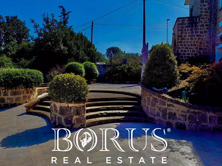 Immagine 9 di Azienda agricola in vendita  a Conca Della Campania