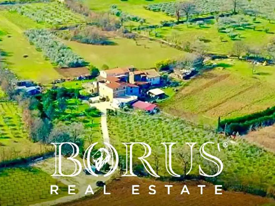 Immagine 10 di Azienda agricola in vendita  a Conca Della Campania