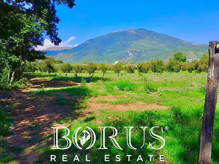 Immagine 11 di Azienda agricola in vendita  a Conca Della Campania