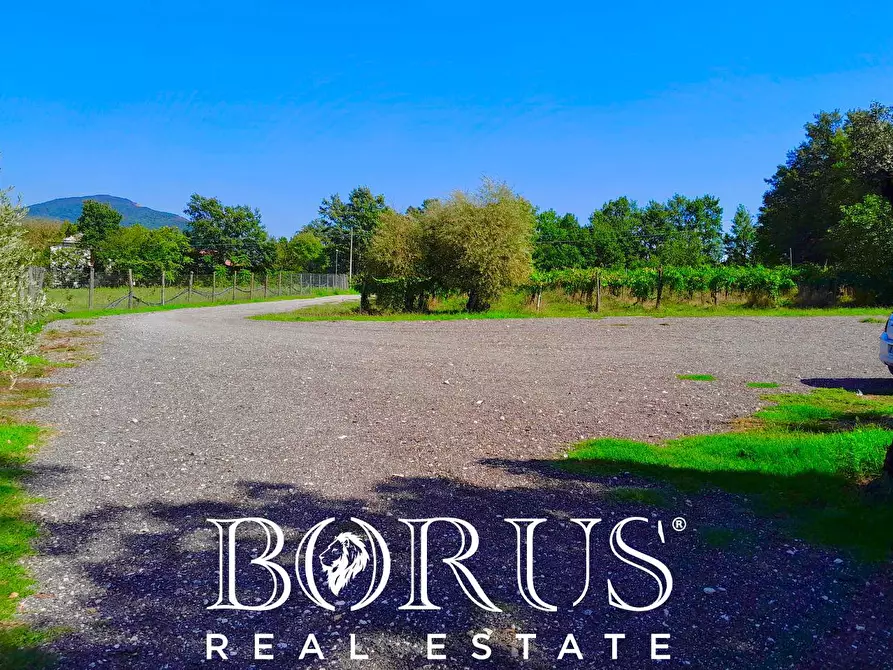 Immagine 12 di Azienda agricola in vendita  a Conca Della Campania