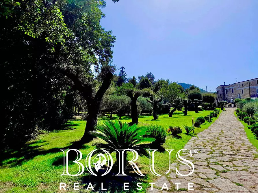 Immagine 13 di Azienda agricola in vendita  a Conca Della Campania