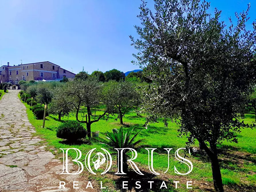 Immagine 15 di Azienda agricola in vendita  a Conca Della Campania