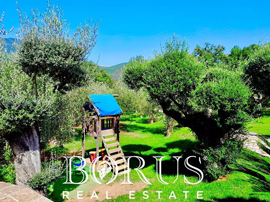 Immagine 16 di Azienda agricola in vendita  a Conca Della Campania