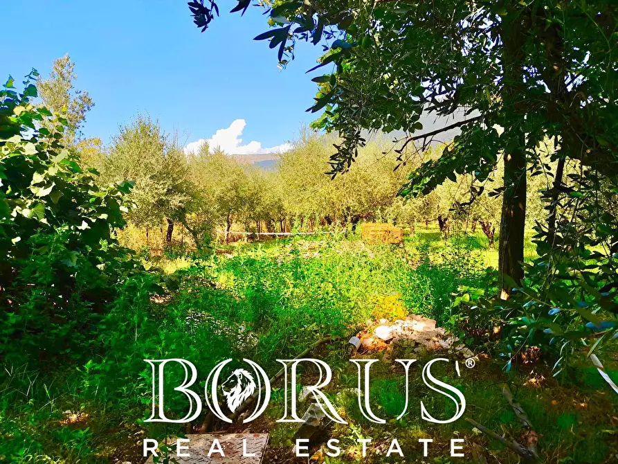 Immagine 20 di Azienda agricola in vendita  a Conca Della Campania