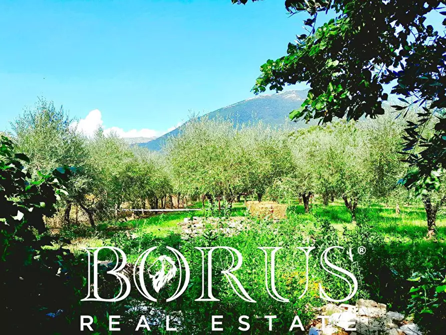 Immagine 25 di Azienda agricola in vendita  a Conca Della Campania