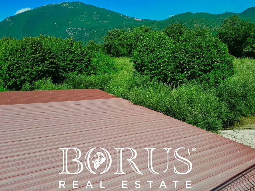 Immagine 31 di Azienda agricola in vendita  a Conca Della Campania