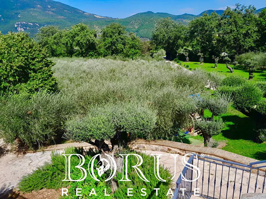 Immagine 32 di Azienda agricola in vendita  a Conca Della Campania