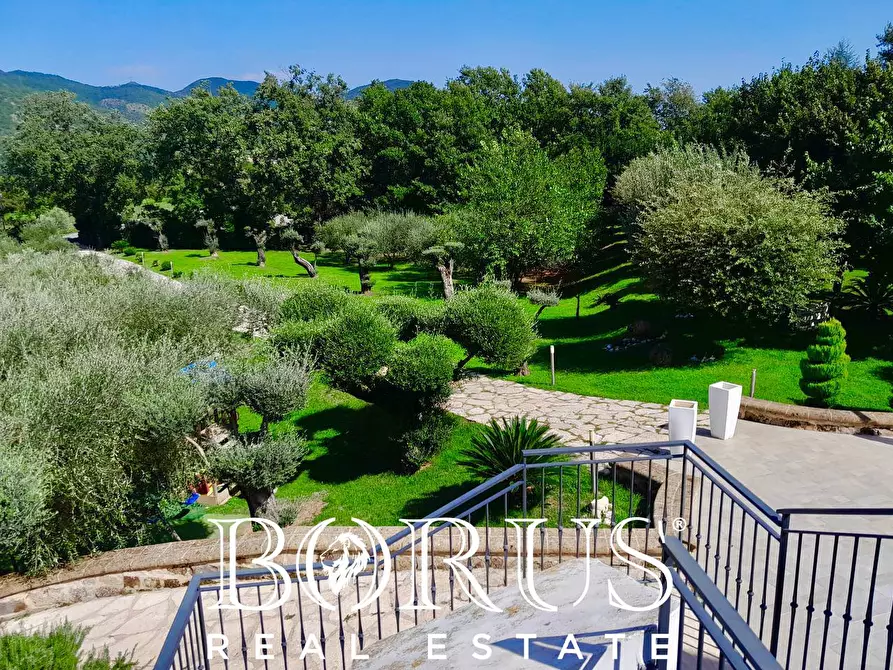 Immagine 33 di Azienda agricola in vendita  a Conca Della Campania