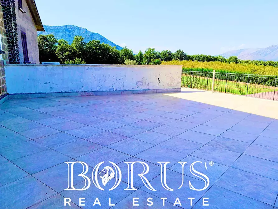 Immagine 35 di Azienda agricola in vendita  a Conca Della Campania