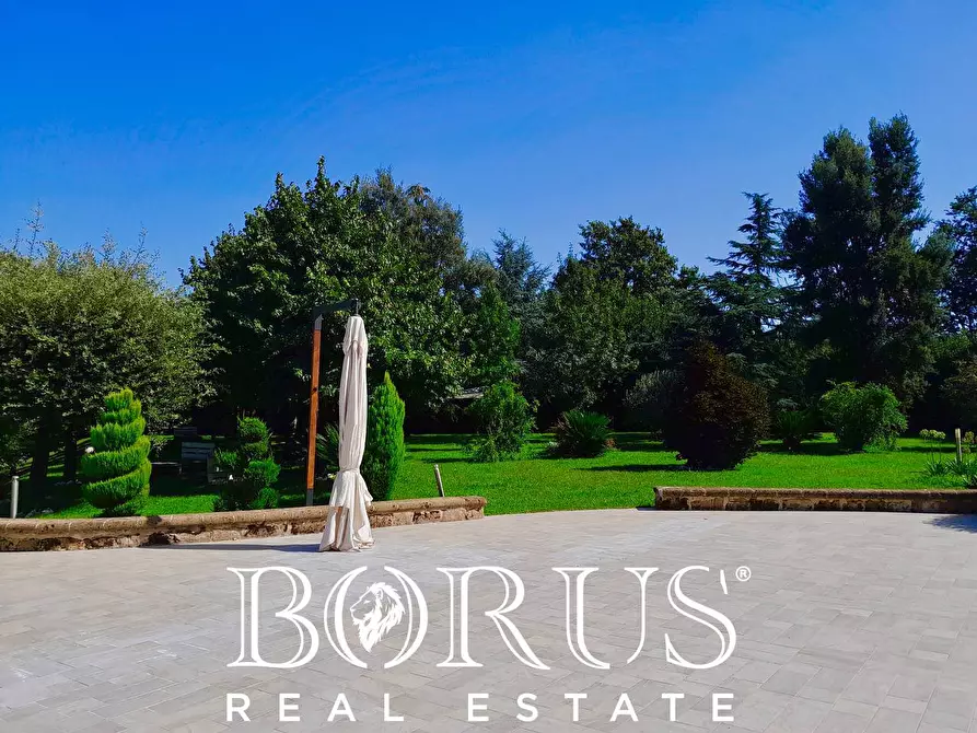 Immagine 36 di Azienda agricola in vendita  a Conca Della Campania