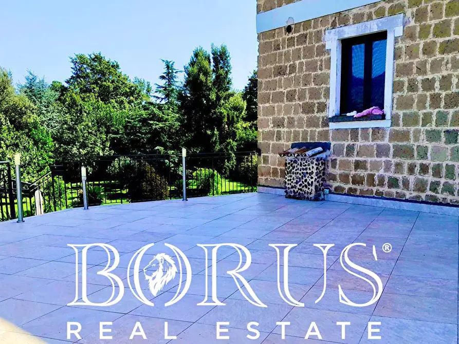 Immagine 37 di Azienda agricola in vendita  a Conca Della Campania