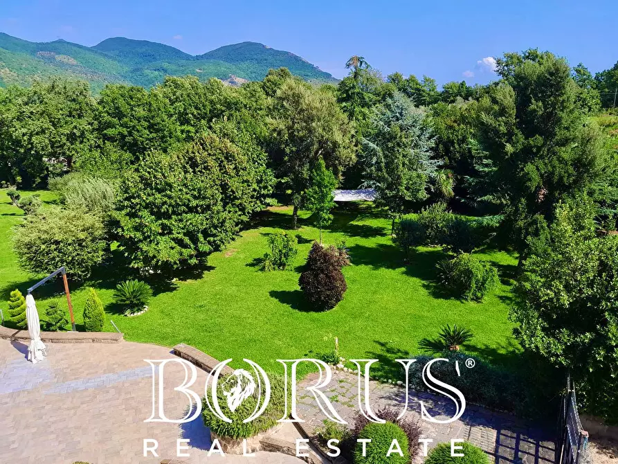 Immagine 39 di Azienda agricola in vendita  a Conca Della Campania