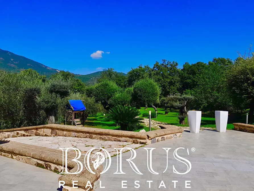 Immagine 40 di Azienda agricola in vendita  a Conca Della Campania