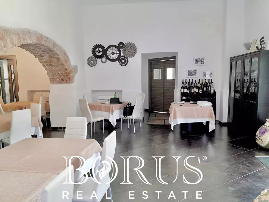 Immagine 41 di Azienda agricola in vendita  a Conca Della Campania