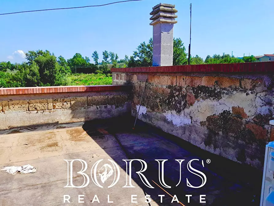 Immagine 42 di Azienda agricola in vendita  a Conca Della Campania