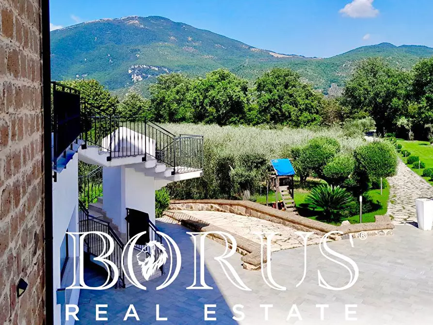 Immagine 44 di Azienda agricola in vendita  a Conca Della Campania